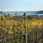 Koczor Winery &
