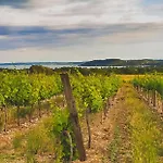 بيت ضيافة Koczor Winery &
