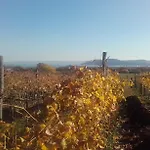 بيت ضيافة Koczor Winery &