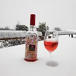 بيت ضيافة Koczor Winery & بالاتونفوريد