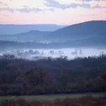 Koczor Winery & Guest house
