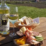 Koczor Winery &