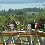 Koczor Winery & بيت ضيافة 4*