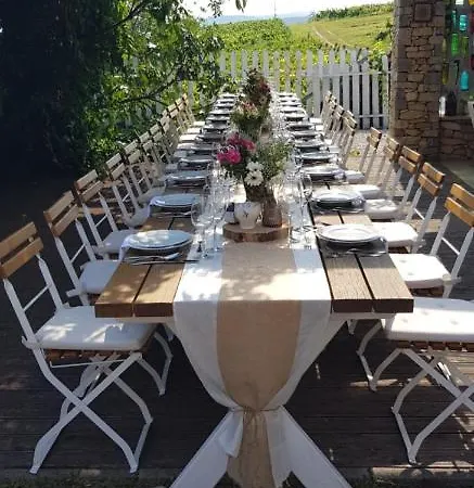 Koczor Winery & ゲストハウス