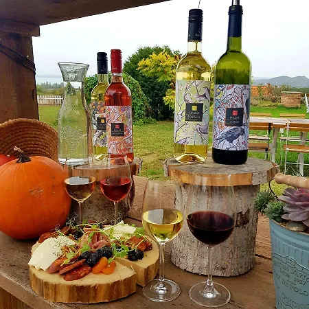 Koczor Winery & Vendégház *