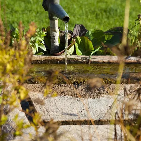 Gasthof Koczor Winery & 4*