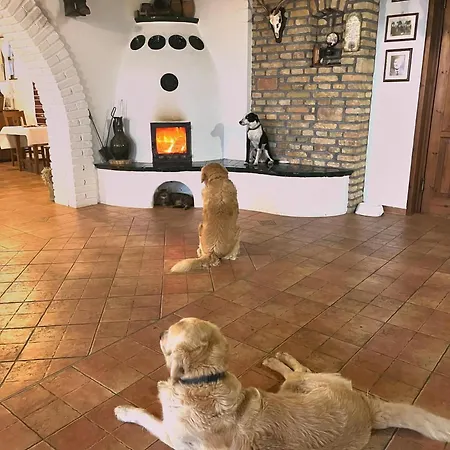 Koczor Winery & Guest house