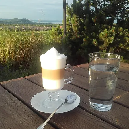 Koczor Winery & ゲストハウス バラトンフレド