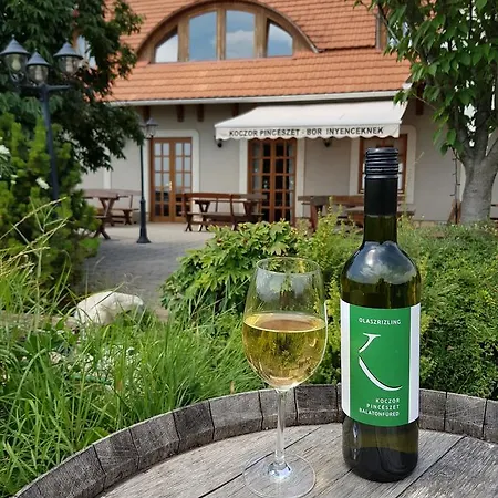 Koczor Winery & 招待所 巴拉顿菲赖德