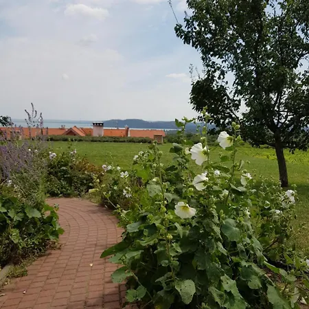 Koczor Winery & Vendégház *