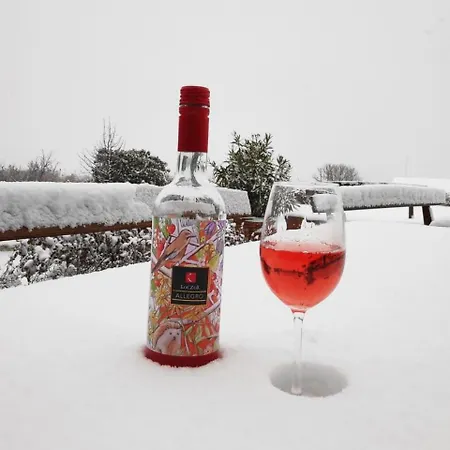 招待所 Koczor Winery & 巴拉顿菲赖德