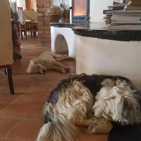 Guest house Koczor Winery & 4*