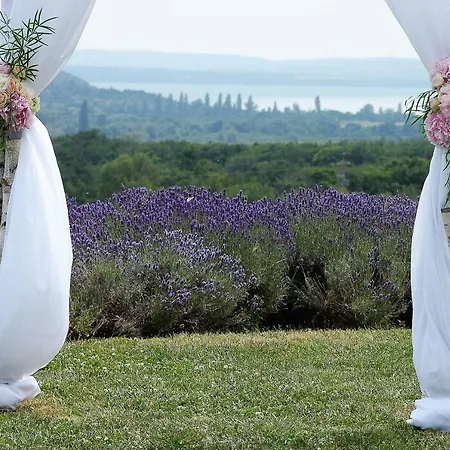 Koczor Winery & 4* Balatonfüred