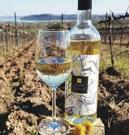 ゲストハウス Koczor Winery & 4*