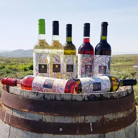 Koczor Winery & Pensión *
