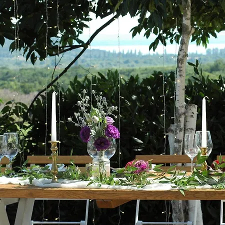 Koczor Winery &