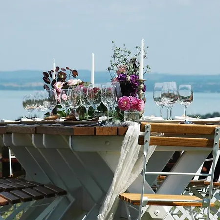 Koczor Winery & ゲストハウス バラトンフレド