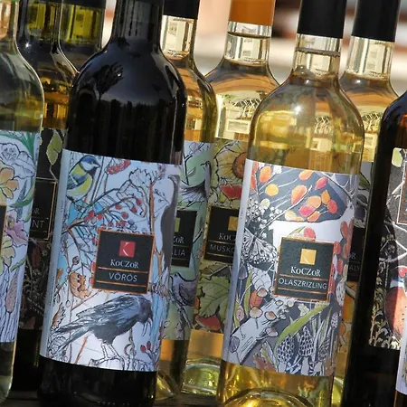 招待所 Koczor Winery &