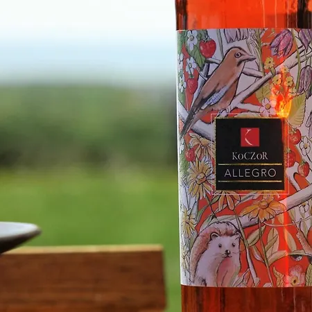 Pensión Koczor Winery & *