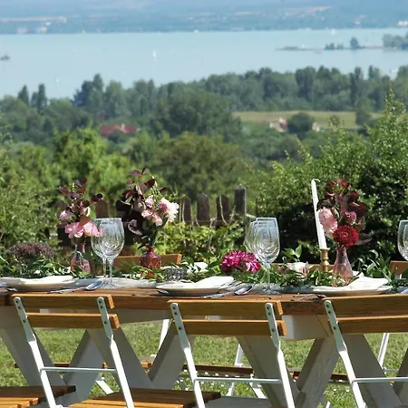 Koczor Winery & 招待所 4*