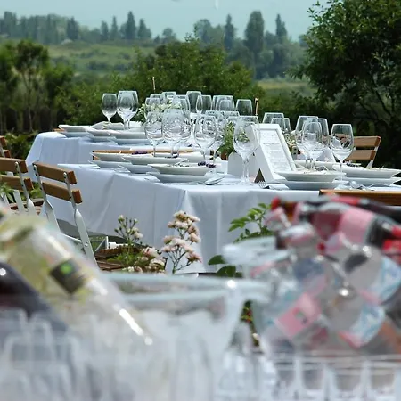 招待所 Koczor Winery &