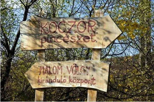 Koczor Winery & 4*