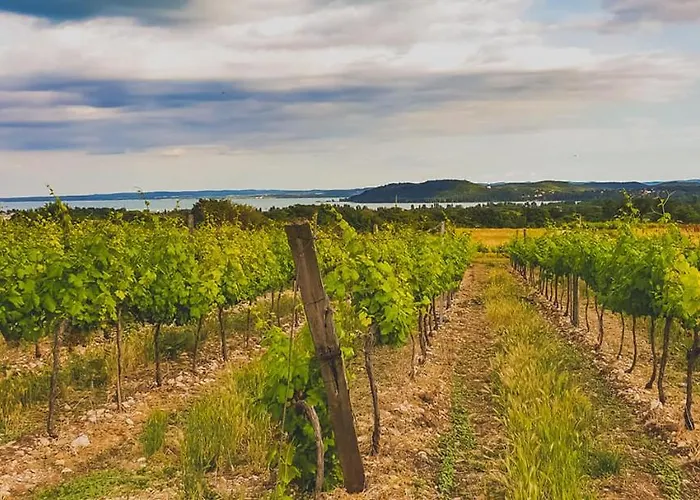 Gasthof Koczor Winery &