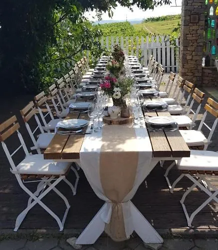 Koczor Winery & Guest house