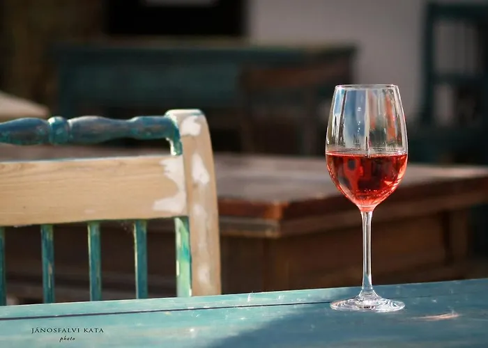 Guest house Koczor Winery & 4*