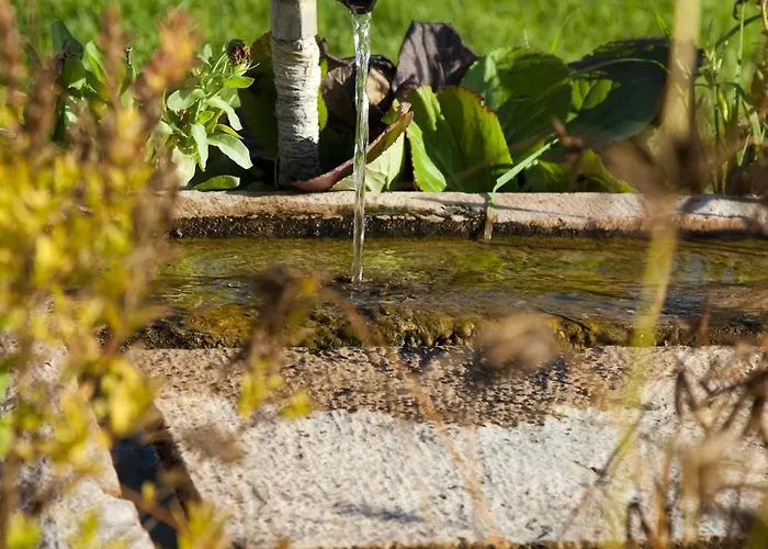 Guest house Koczor Winery & 4*