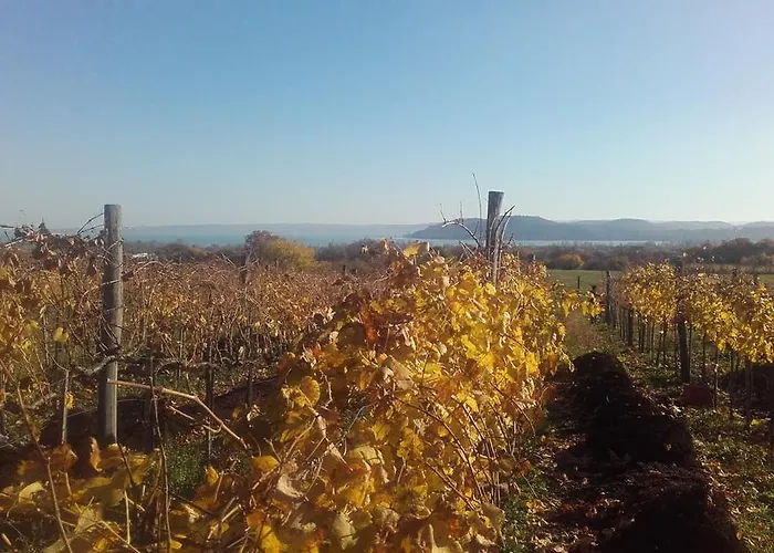 Guest house Koczor Winery &