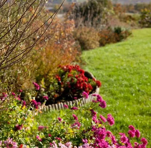 Koczor Winery & Guest house