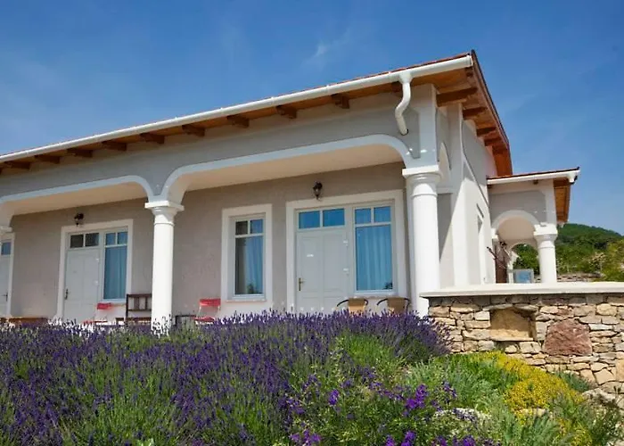 Koczor Winery & Guest house Balatonfured