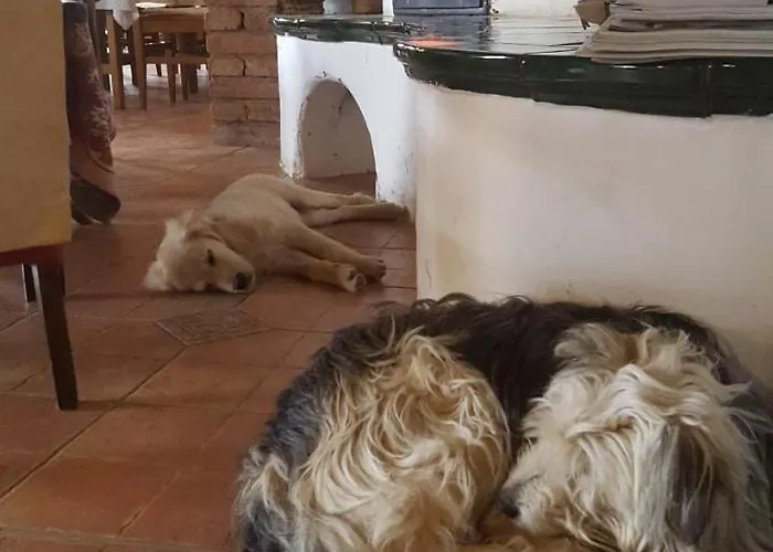 Gasthof Koczor Winery & 4*