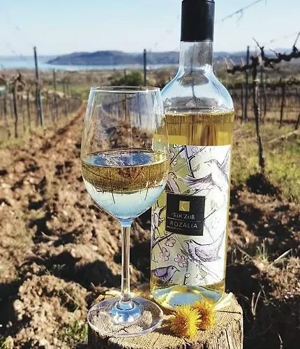 Gasthof Koczor Winery & 4*