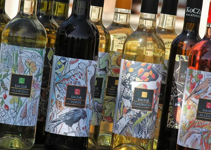 Guest house Koczor Winery &