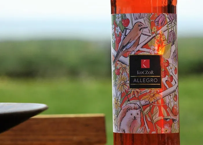 Guest house Koczor Winery & 4*