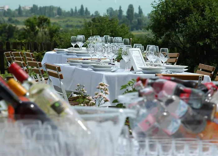 Guest house Koczor Winery &